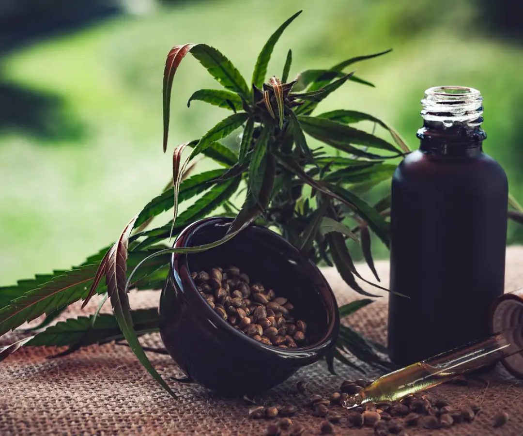 Para associações, normas ainda deixam pontos em aberto sobre cannabis