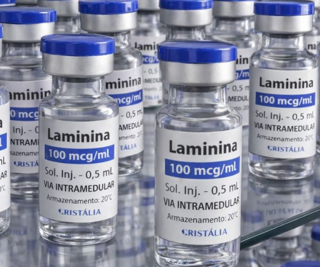 Testes clínicos fase 1 da polilaminina começam este mês